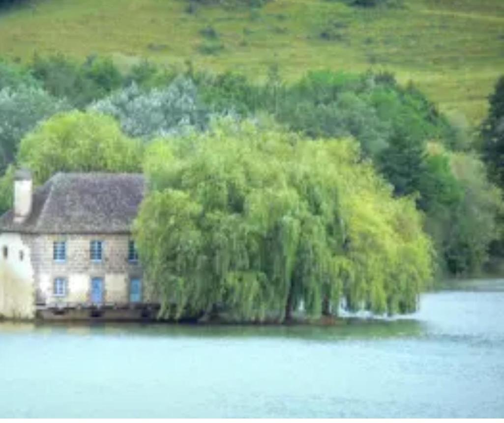 En Toute Quietude Lissac-sur-Couze Экстерьер фото