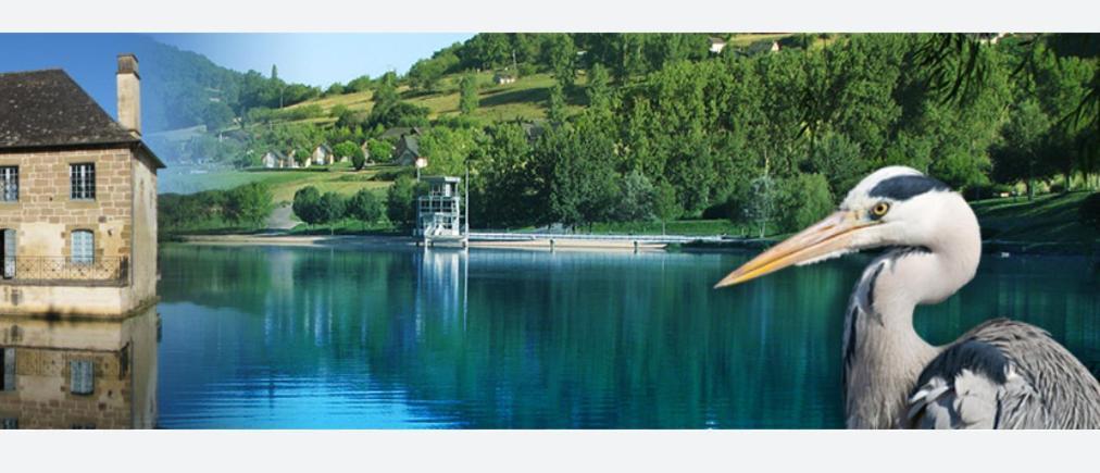 En Toute Quietude Lissac-sur-Couze Экстерьер фото